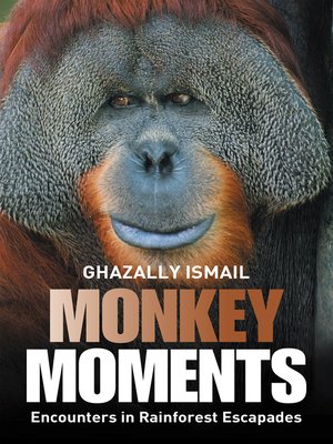 cover image of Monkey Moments